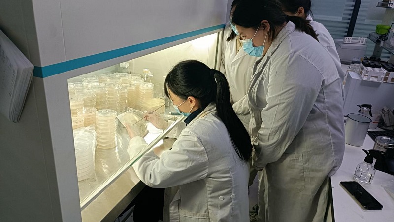 微生物檢測(cè)濾膜法操作規(guī)程是怎么樣的？