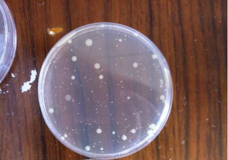 【行業(yè)干貨】從原理到實操：一文讀懂薄膜過濾法 vs 平皿法的適用邊界