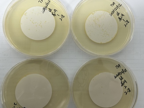 為什么微生物培養(yǎng)時(shí)平板要倒置